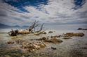 084 Kaikoura